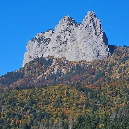 Venez Chez Vous - Le Dahu Alpesi faház