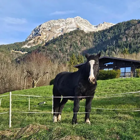 Venez Chez Vous - Le Dahu Alpesi faház *