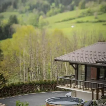 Venez Chez Vous - Le Dahu Chalet Talloires